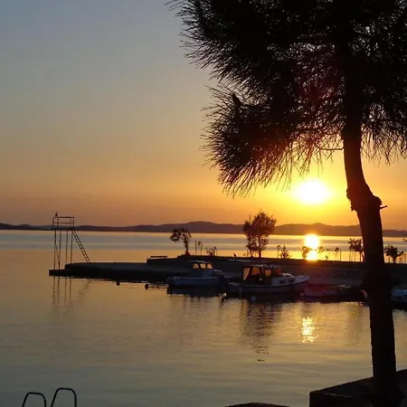 Hollywood Sveti Petar (Zadar)