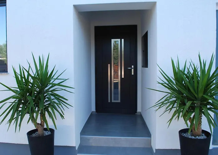 Hollywood * Свети-Петар